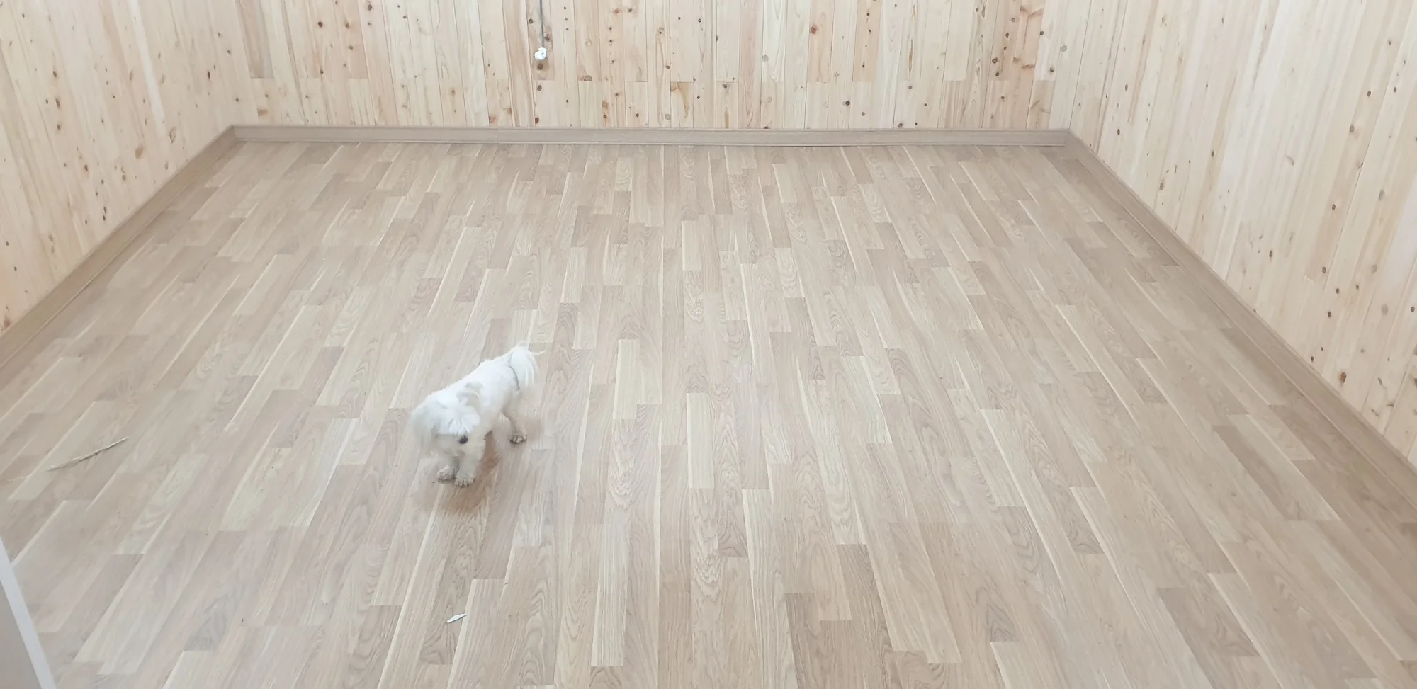 경기 포천시 숙박 시설 25평 전기온돌강화마루 시공 사진 2